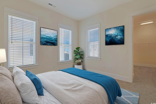 822 Farrow Pkwy, Myrtle Beach, SC 29577 - carpeted bedroom with baseboards and a spacious closet