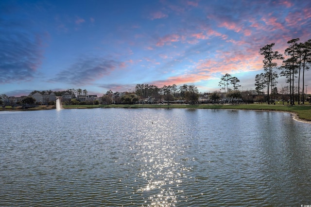 property view of water