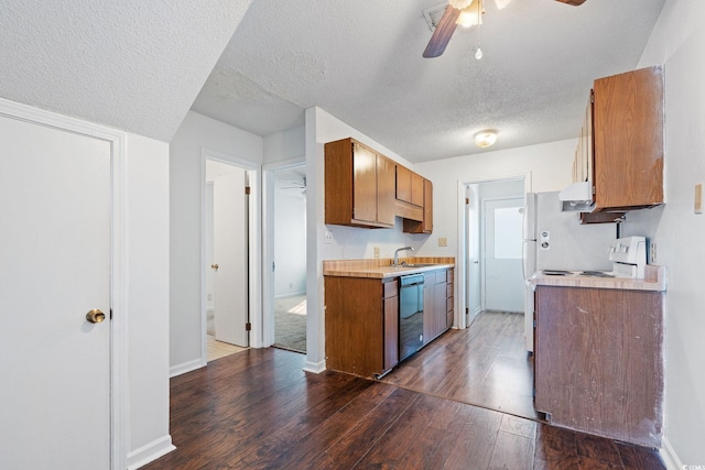 kitchen featuring sink, a textured ceiling, stainless steel dishwasher, dark hardwood / wood-style floors, and ceiling fan