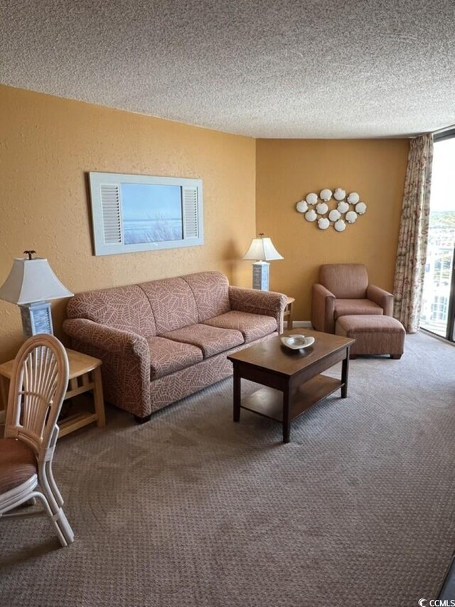 9550 Shore Dr Unit 1721, Myrtle Beach, SC 29572 - carpeted living area with a textured ceiling and a textured wall