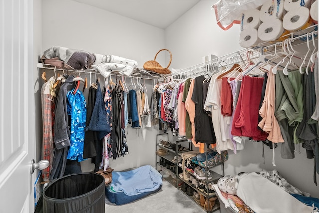 view of spacious closet