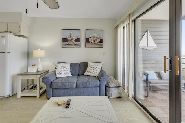 living room featuring light wood-type flooring