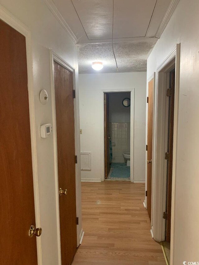 hallway with light hardwood / wood-style flooring and a textured ceiling