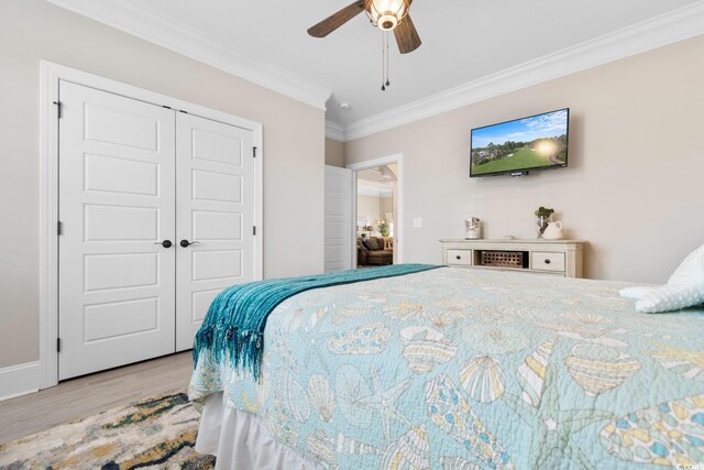 bedroom with crown molding, a closet, ceiling fan, and light hardwood / wood-style flooring