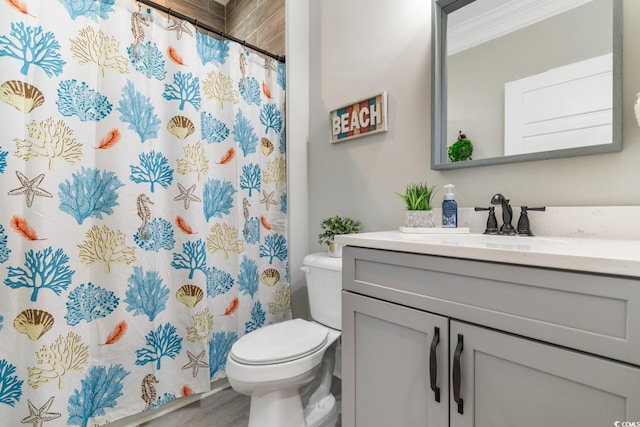 bathroom with vanity, wood-type flooring, and toilet