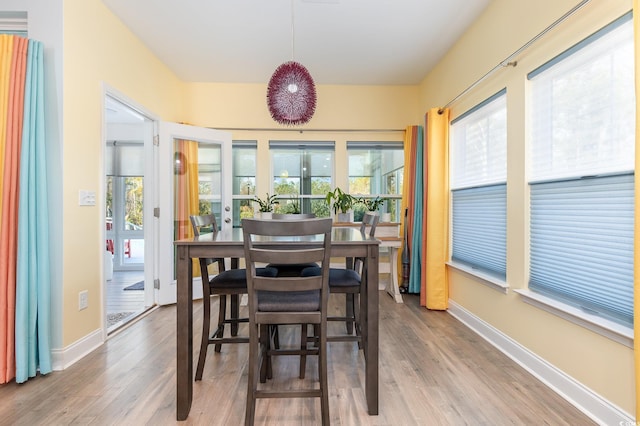 dining room with hardwood / wood-style floors