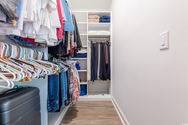 spacious closet with wood-type flooring