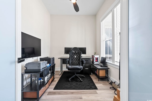 office space with light hardwood / wood-style flooring and ceiling fan