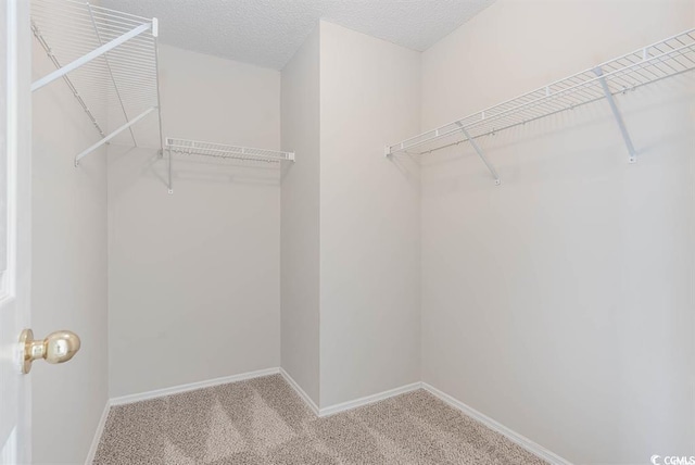 spacious closet with light carpet