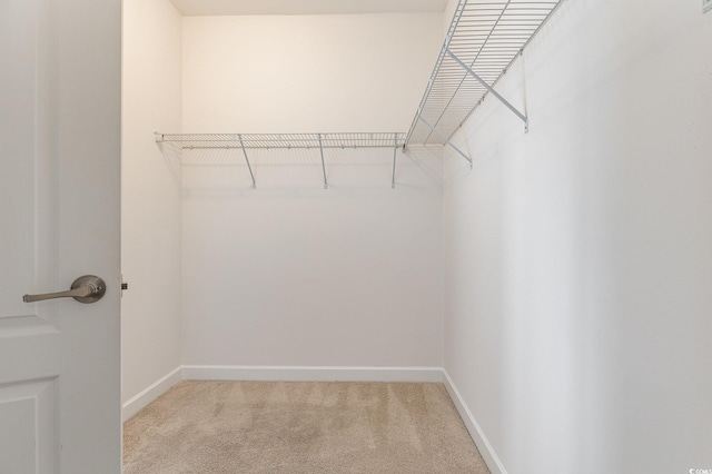 walk in closet featuring light colored carpet