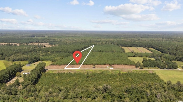 B2 Black Creek Rd, Nichols, SC 29581 - photo 1
