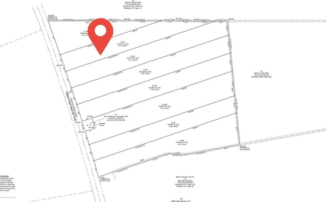 B2 Black Creek Rd, Nichols, SC 29581 - photo 2