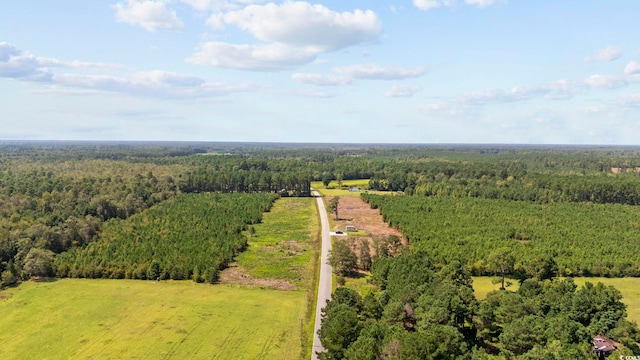 B2 Black Creek Rd, Nichols, SC 29581 - photo 3