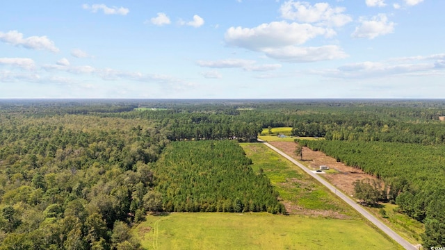 B2 Black Creek Rd, Nichols, SC 29581 - photo 4
