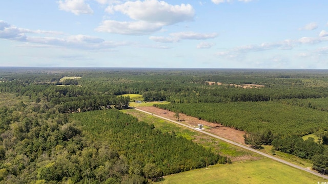 B2 Black Creek Rd, Nichols, SC 29581 - photo 5