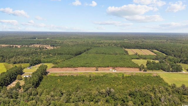 B2 Black Creek Rd, Nichols, SC 29581 - photo 6
