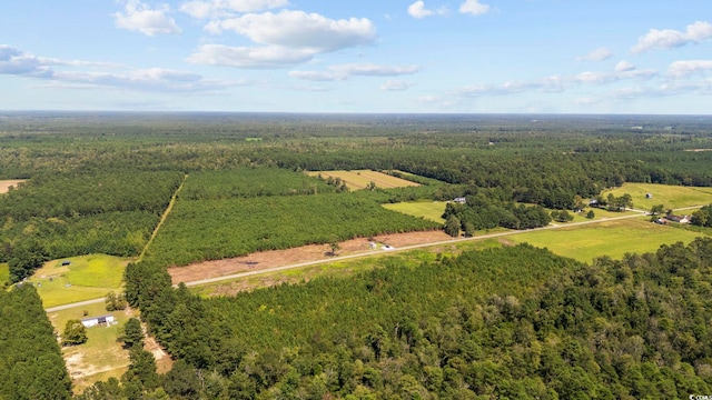 B2 Black Creek Rd, Nichols, SC 29581 - photo 7