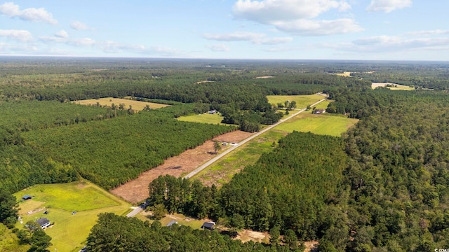 B2 Black Creek Rd, Nichols, SC 29581 - photo 8