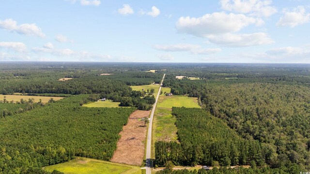 B2 Black Creek Rd, Nichols, SC 29581 - photo 9