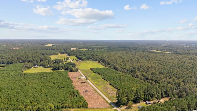 B2 Black Creek Rd, Nichols, SC 29581 - photo 10