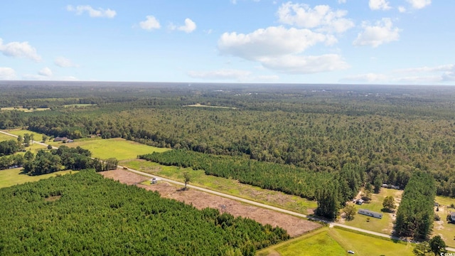 B2 Black Creek Rd, Nichols, SC 29581 - photo 11