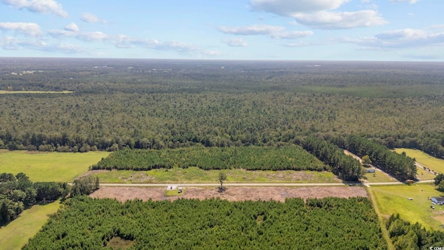 B2 Black Creek Rd, Nichols, SC 29581 - photo 12