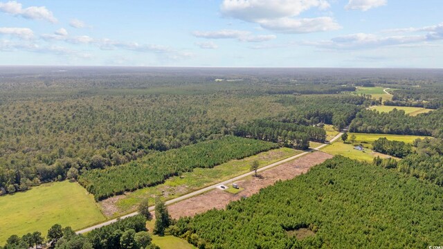 B2 Black Creek Rd, Nichols, SC 29581 - photo 13