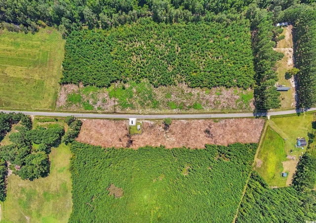 B2 Black Creek Rd, Nichols, SC 29581 - photo 14