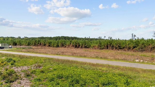 B2 Black Creek Rd, Nichols, SC 29581 - photo 15