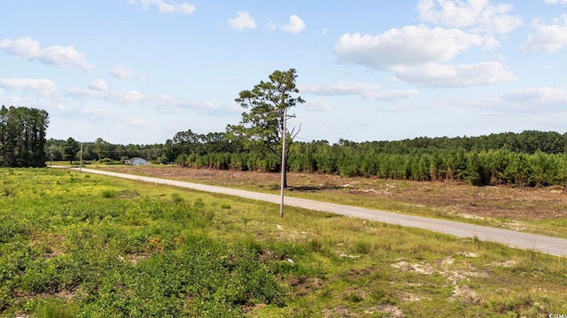 B2 Black Creek Rd, Nichols, SC 29581 - photo 16