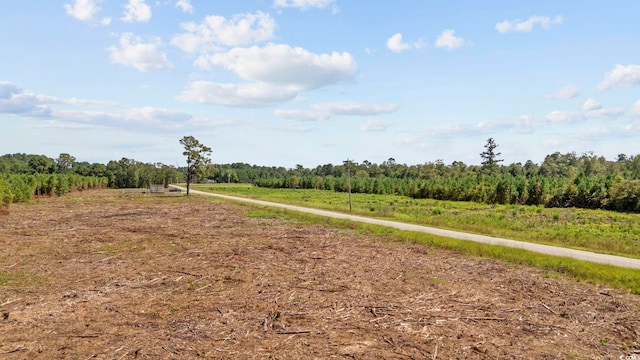 B2 Black Creek Rd, Nichols, SC 29581 - photo 17
