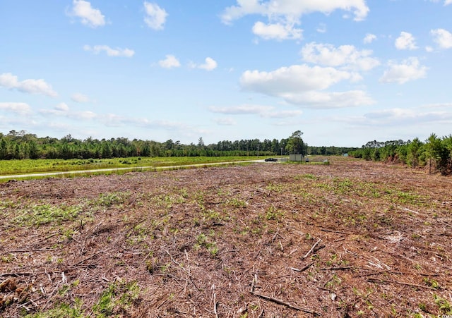 B2 Black Creek Rd, Nichols, SC 29581 - photo 19