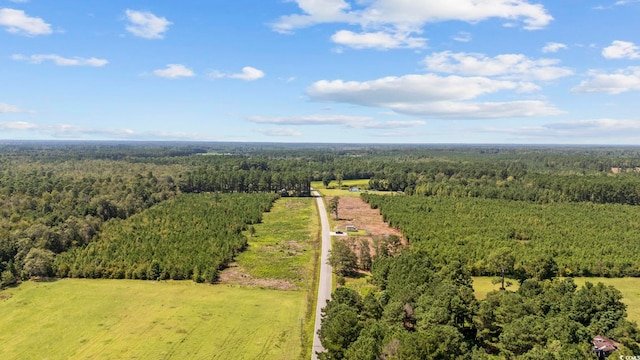 B2 Black Creek Rd, Nichols, SC 29581 - photo 20