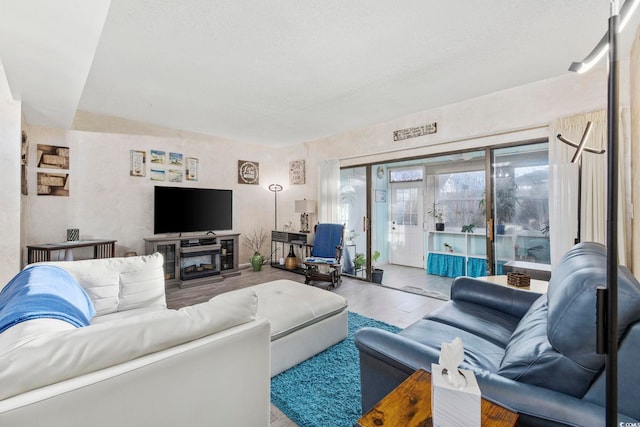 living room with hardwood / wood-style flooring