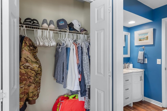 closet featuring sink