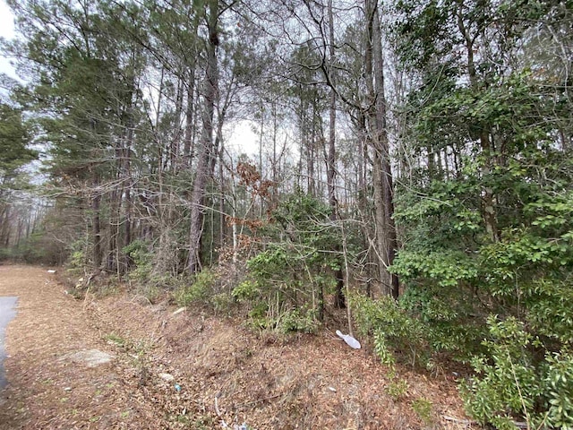 Listing photo 3 for TBD Rocky Ln, Conway SC 29526