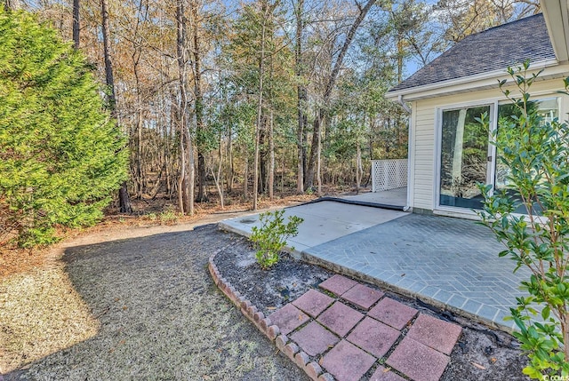 view of yard featuring a patio area