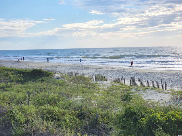 water view featuring a beach view