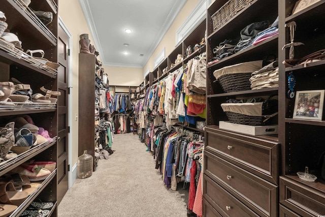 spacious closet featuring carpet floors