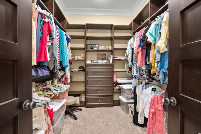 walk in closet featuring carpet flooring