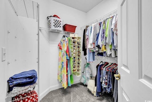 walk in closet featuring carpet floors