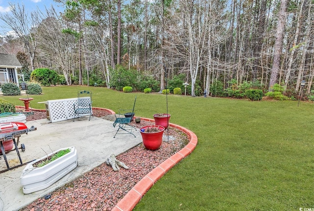 view of yard with a patio area