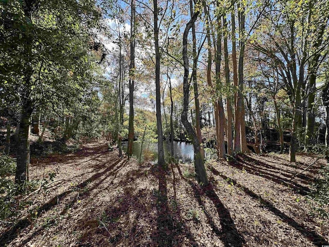 Listing photo 2 for TBD Terry Rd, Andrews SC 29510