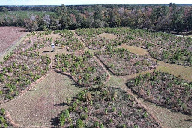 TBD Terry Rd, Andrews SC, 29510 land for sale