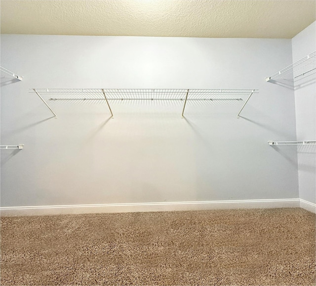 spacious closet with carpet floors