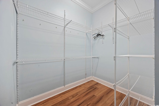 walk in closet featuring wood-type flooring