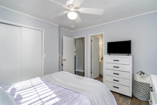 bedroom featuring ceiling fan, dark hardwood / wood-style flooring, and a closet