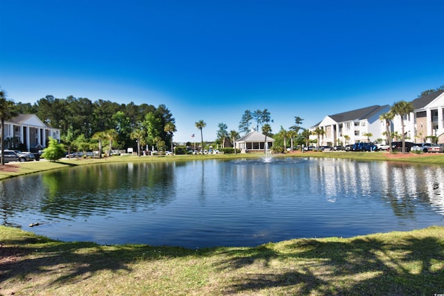 118 Birch N Coppice Dr Unit 3, Surfside Beach, SC 29575