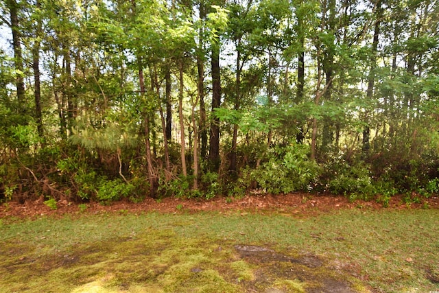 118 Birch N Coppice Dr Unit 3, Surfside Beach, SC 29575