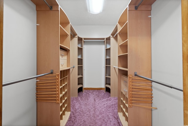 spacious closet with carpet